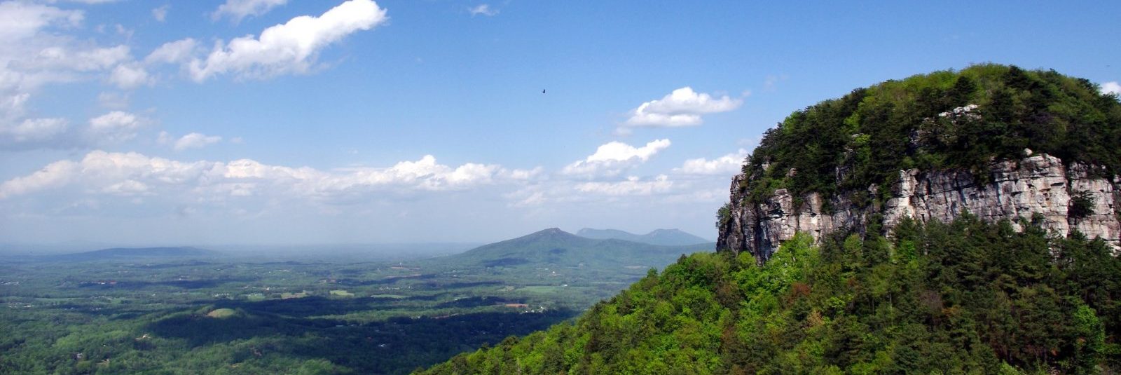 Thoughts From MtPilot